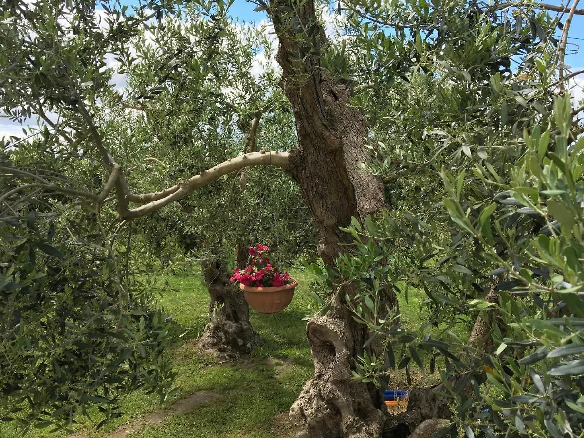 Podere Gabry Arena Metato Italy
