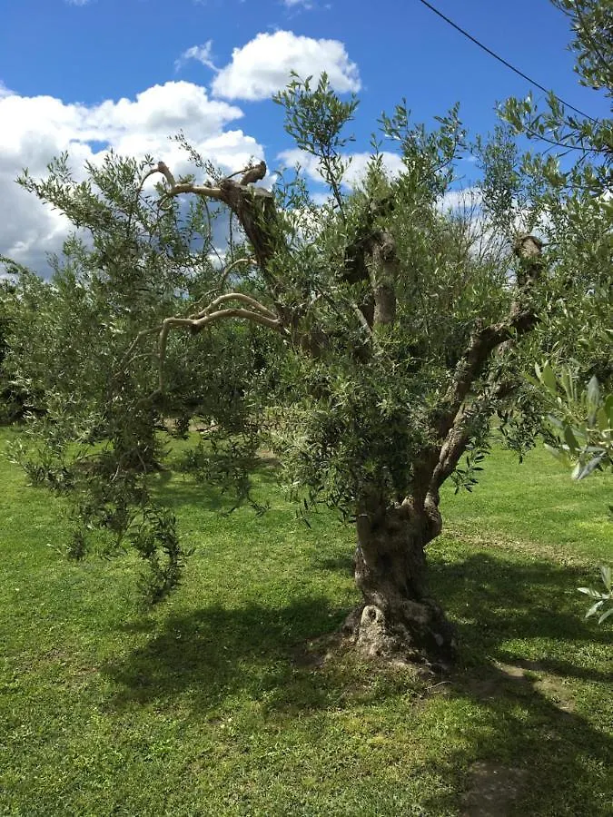 Podere Gabry Arena Metato Apartment